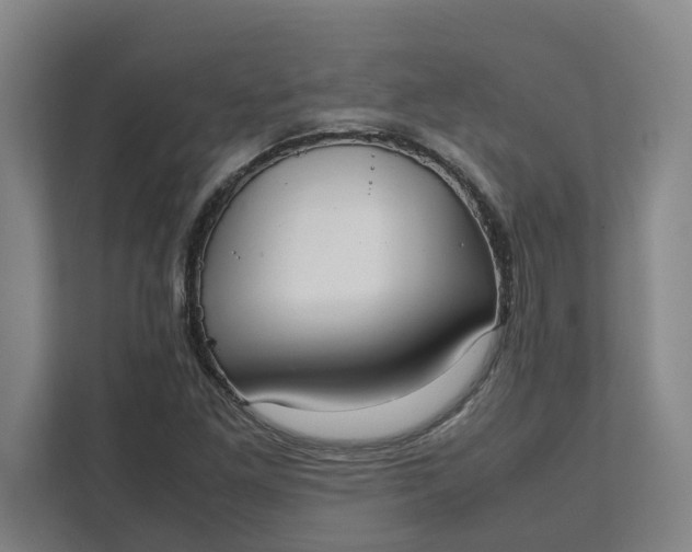 X0000111881261200908061307