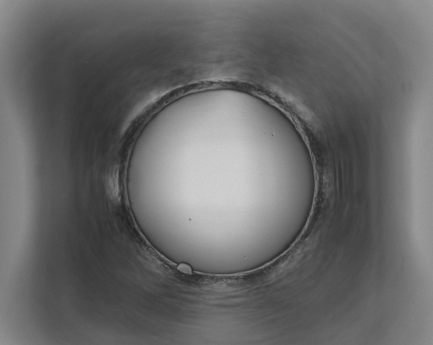 X0000111881262200908061307