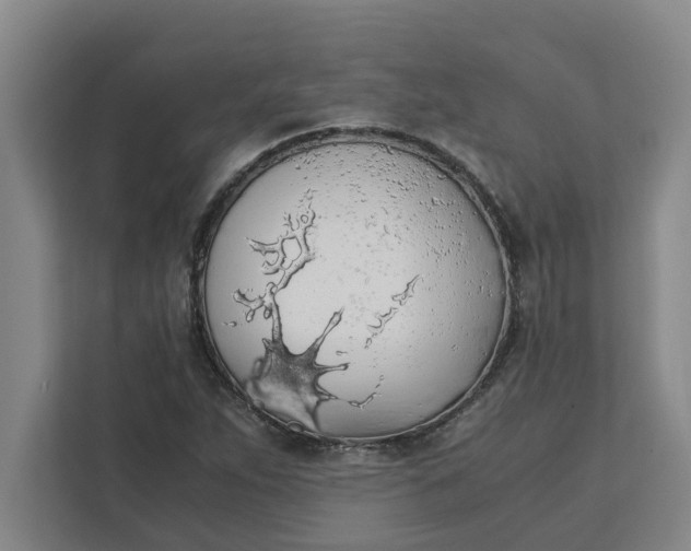 X0000111881263200908061307