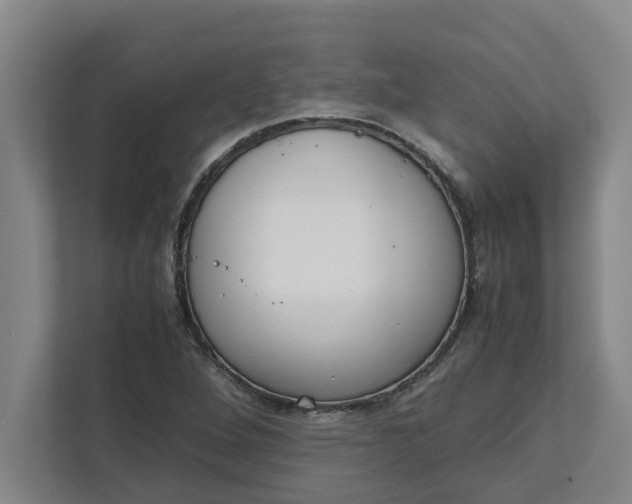 X0000111881264200908061307