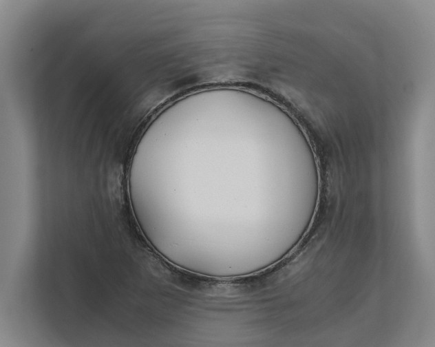 X0000111881265200908061307