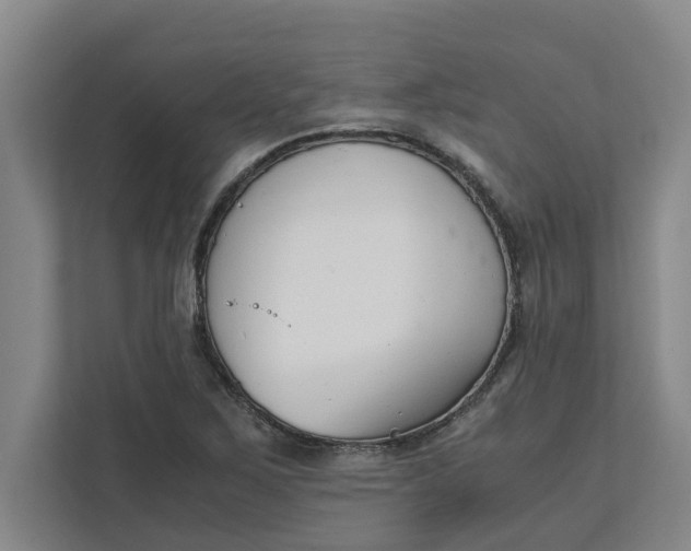 X0000111881267200908061307