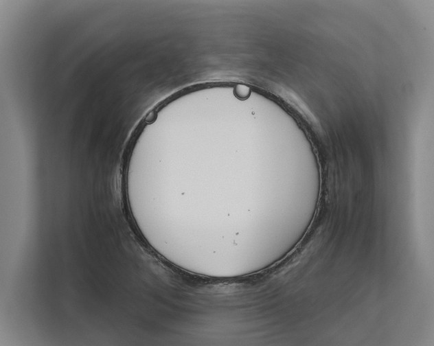 X0000111881268200908061307