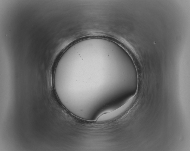 X0000111881269200908061307