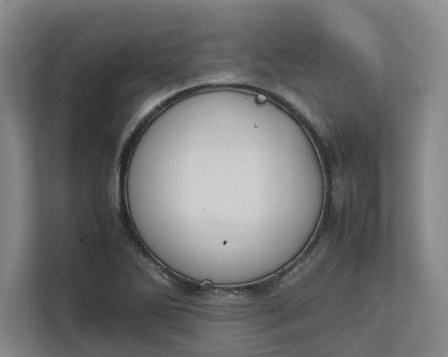 X0000111881270200908061307