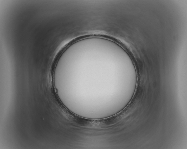 X0000111881271200908061307