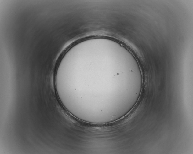 X0000111881272200908061307