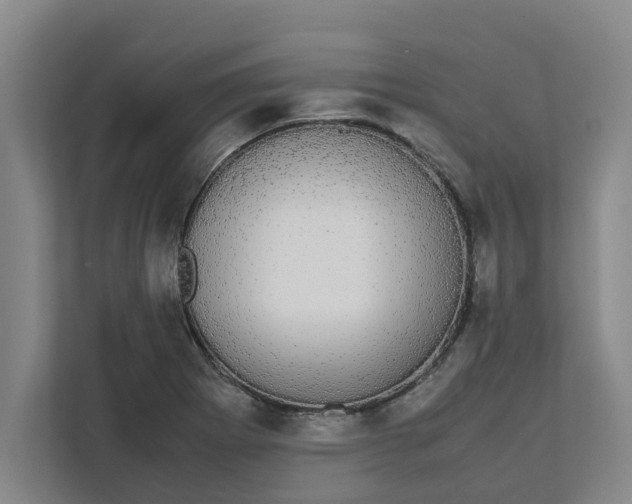 X0000111881273200908061307