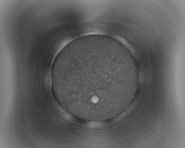 X0000111881274200908061307