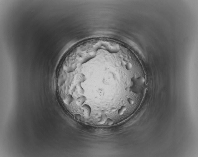 X0000111881275200908061306