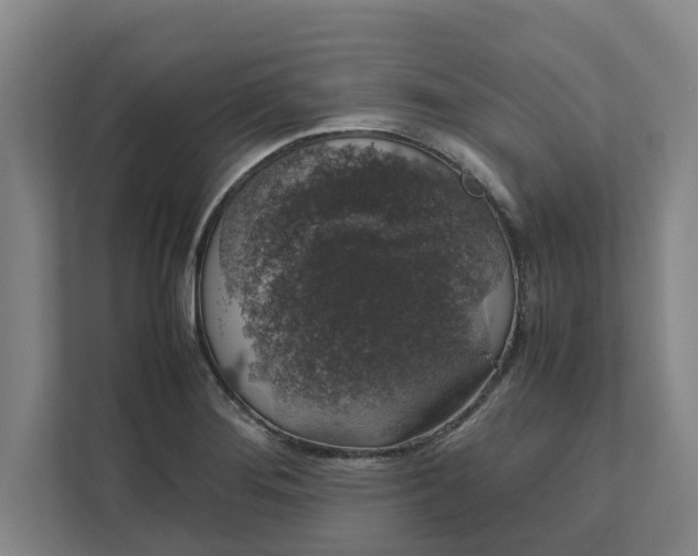 X0000111881276200908061306