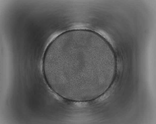 X0000111881277200908061306