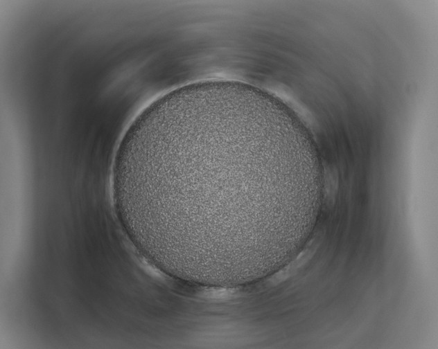 X0000111881278200908061306