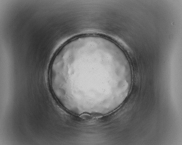 X0000111881279200908061306