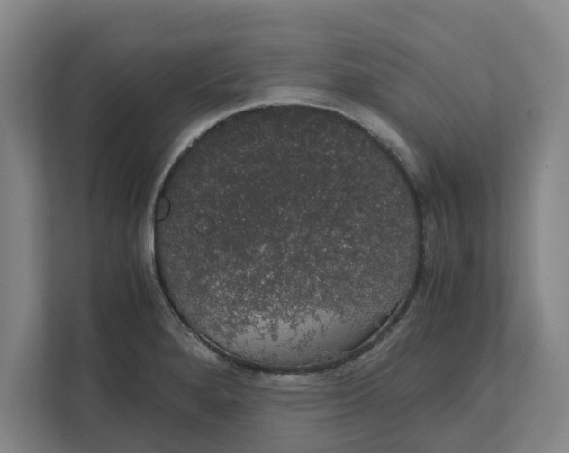 X0000111881280200908061306