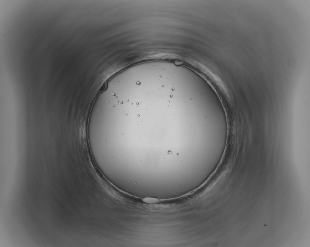 X0000111881281200908061306