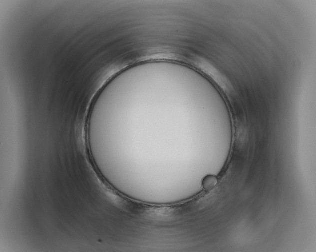 X0000111881282200908061306