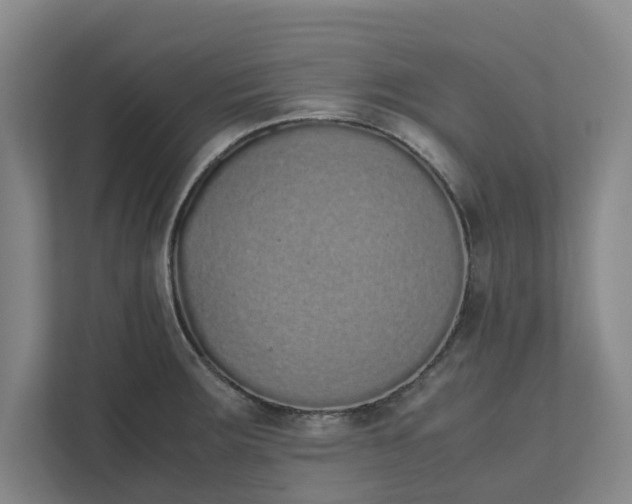 X0000111881283200908061306