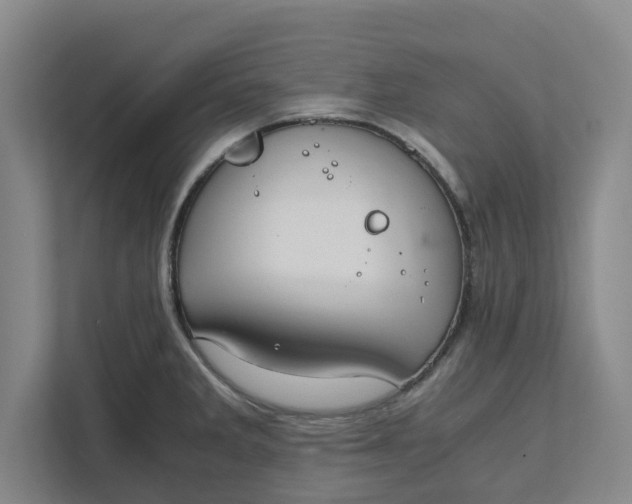 X0000111881285200908061306