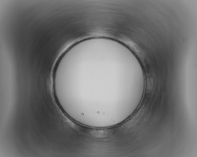 X0000111881286200908061306