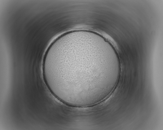 X0000111881288200908061306