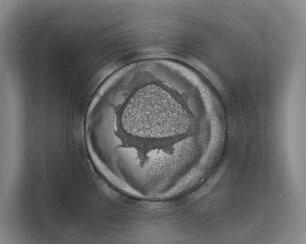 X0000111881289200908061306