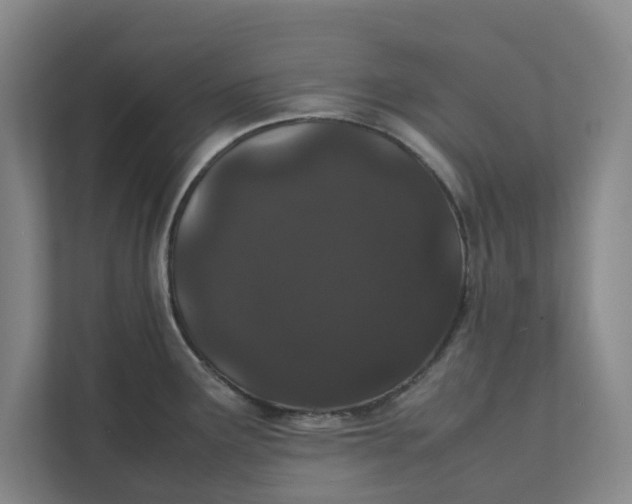 X0000111881291200908061306