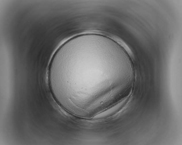 X0000111881292200908061306