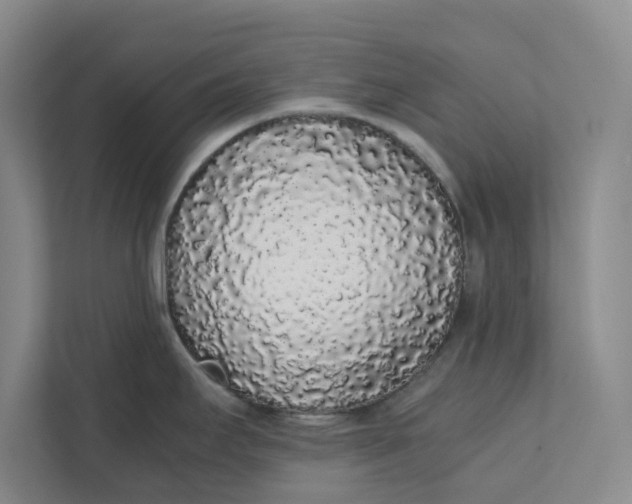 X0000111881295200908061306