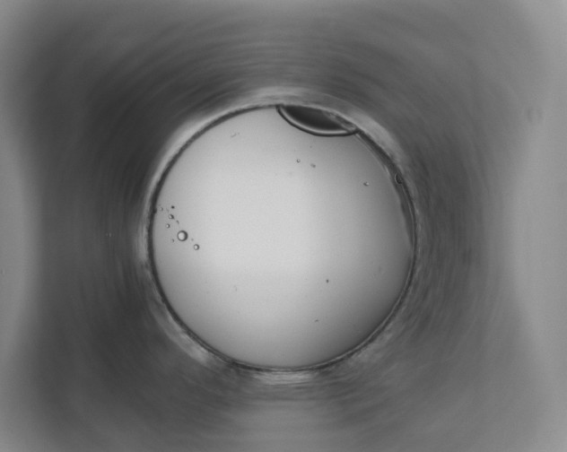 X0000111881296200908061306