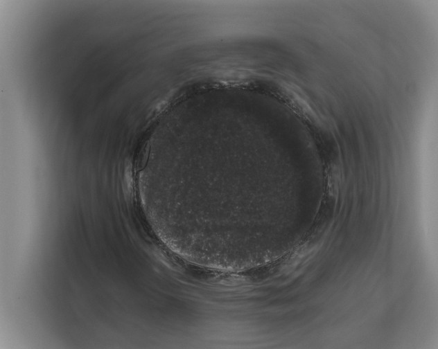 X0000111881298200908061306