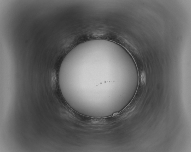 X0000111881299200908061306