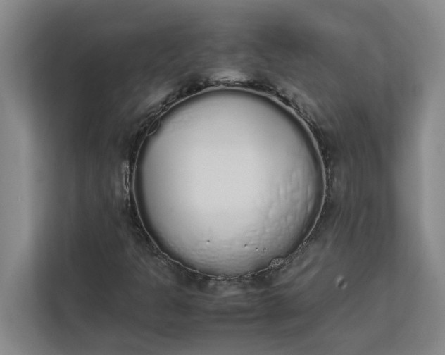 X0000111881301200908061306