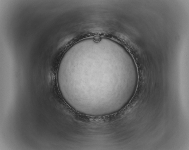 X0000111881302200908061306