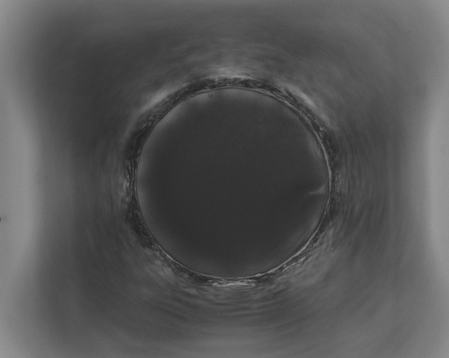 X0000111881303200908061306