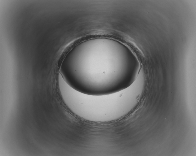 X0000111881304200908061306