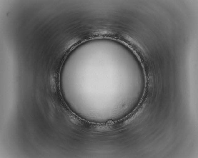 X0000111881305200908061306