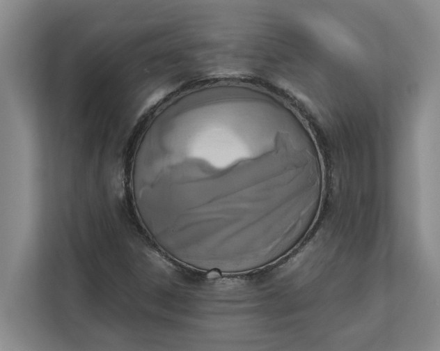 X0000111881306200908061306