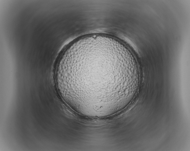 X0000111881308200908061306