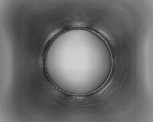 X0000111881309200908061306