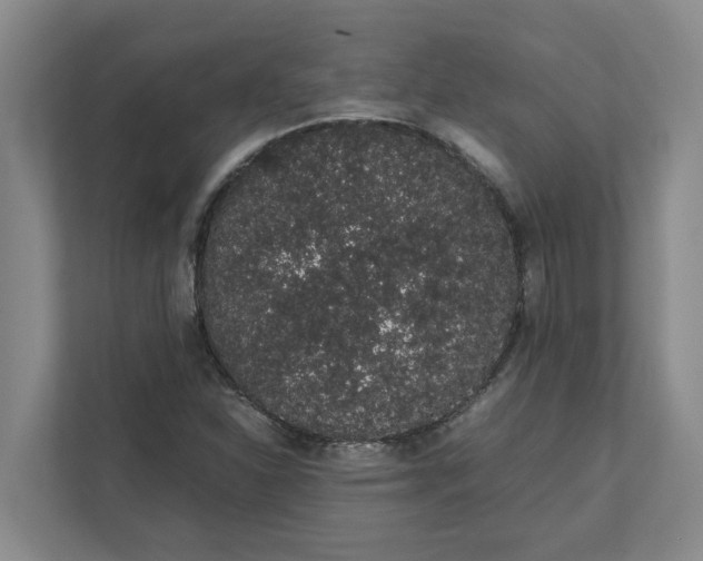 X0000111881310200908061306