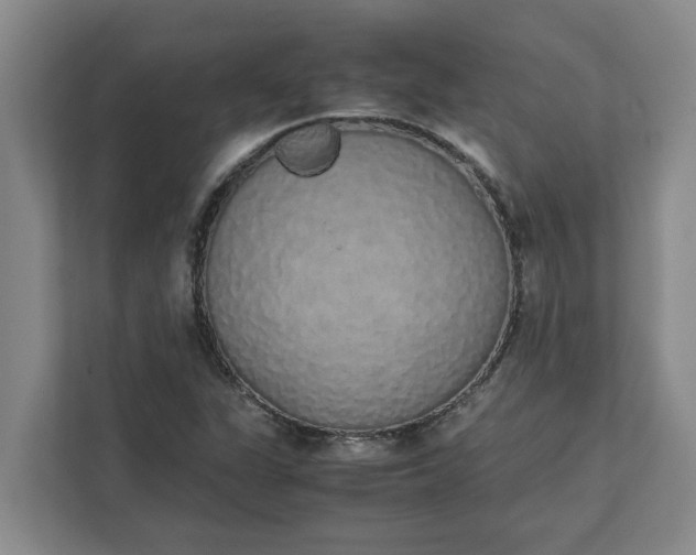 X0000111881311200908061306