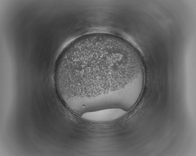 X0000111881312200908061306