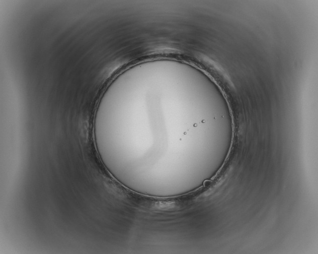 X0000111881313200908061306