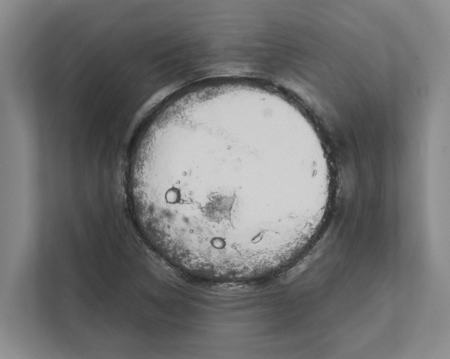 X0000111881314200908061306