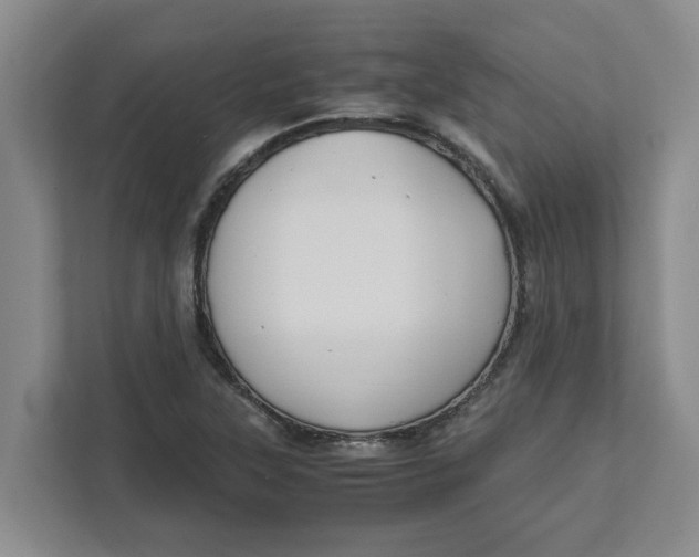 X0000111881315200908061306