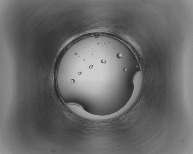 X0000111881316200908061306