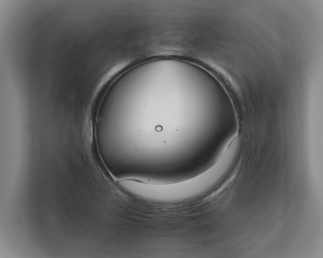 X0000111881317200908061306