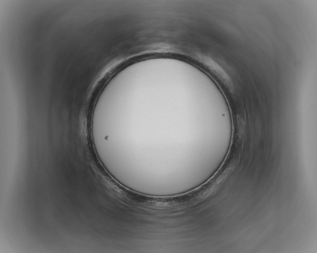 X0000111881318200908061306