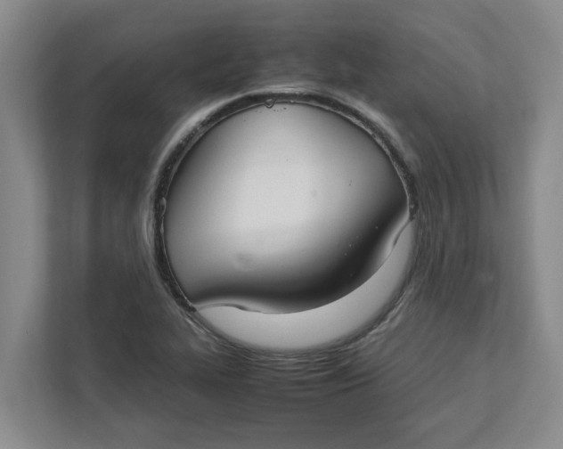 X0000111881319200908061306